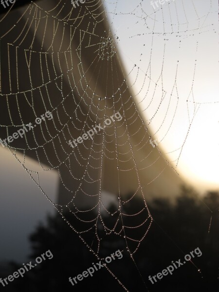 Bridge Cobweb Autumn Web Dew