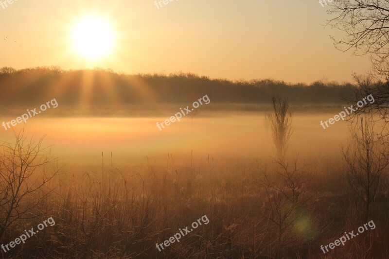 Morning Fog Sun Sunrise Mist Outdoor