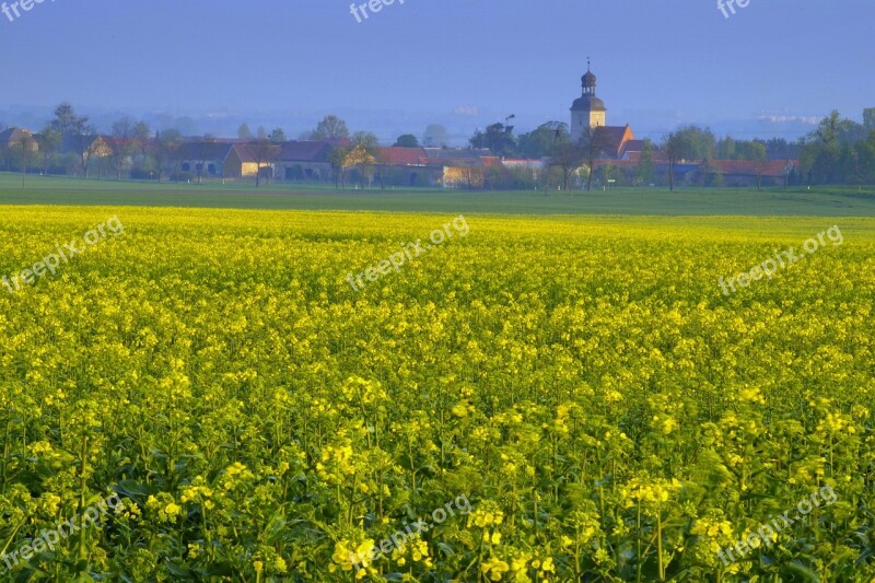 Rapeseed Field Agriculture City Village