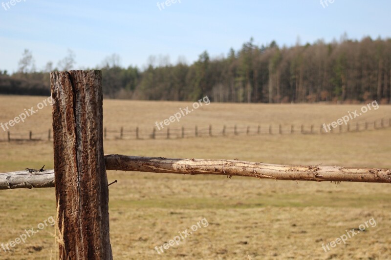 Pasture Pen Meadow Fences Trees