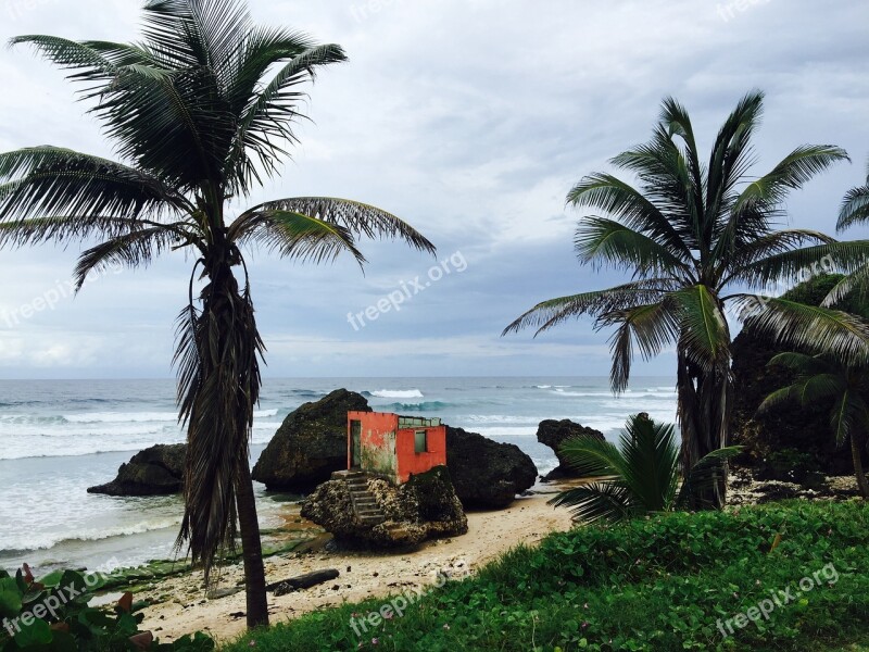 Barbados Beach Tropic Caribbean Tropical