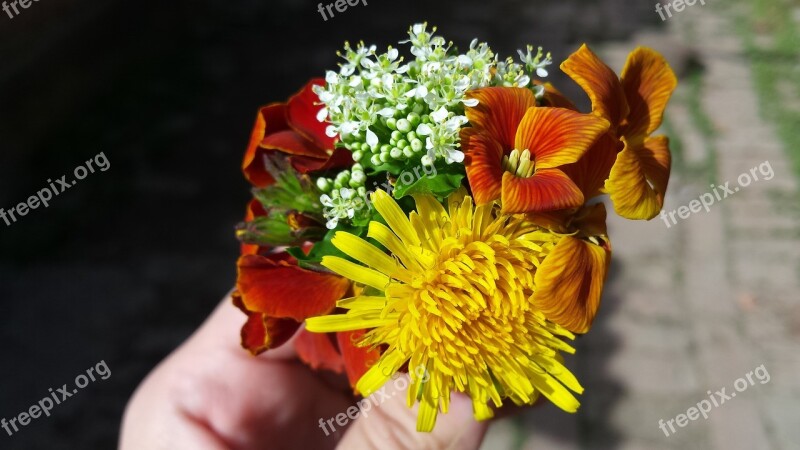 Flowers Bouquet Summer Spring Spring Bouquet