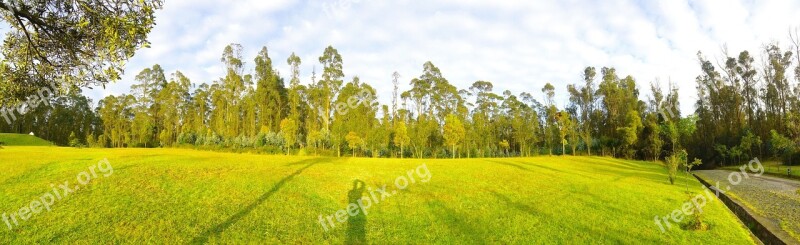 Landscape Park Forest Nature Trees