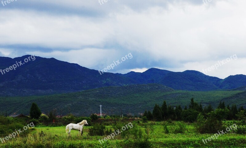 Simple Landscape Painting Distance Riding Flowers And Plants