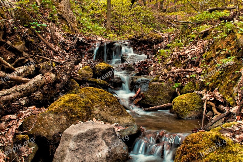 Spring The Creek Water Forest Trees