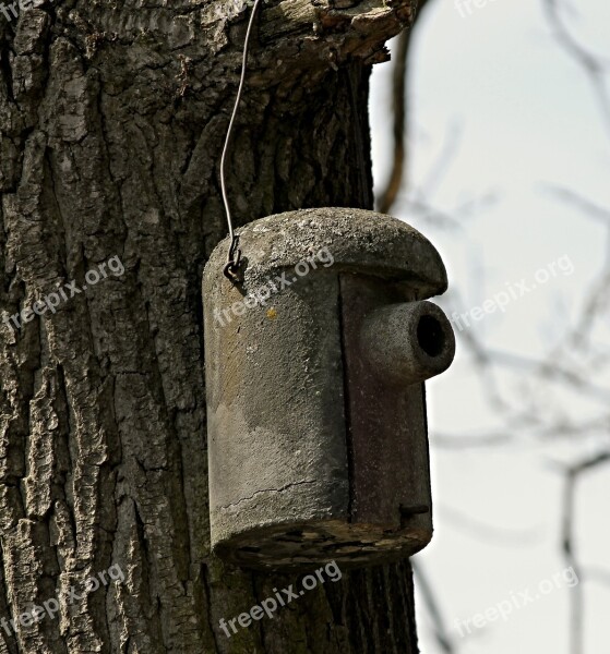 Nesting Box Aviary Nesting Place Garden Tree