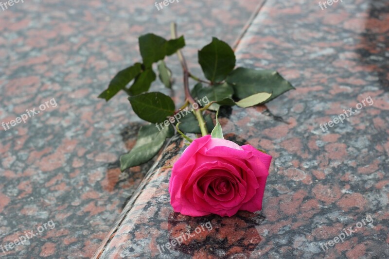 Pink Rose Red Marble Gravestone Grave Symbol