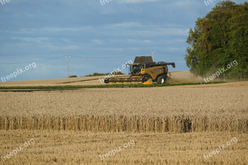 Thresh Agriculture Cereals Free Photos