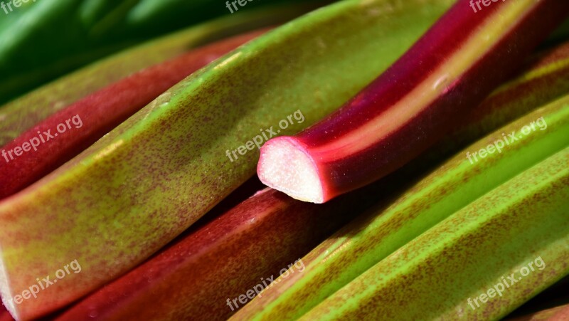 Rhubarb Green Garden Vegetables Rhabarber Red