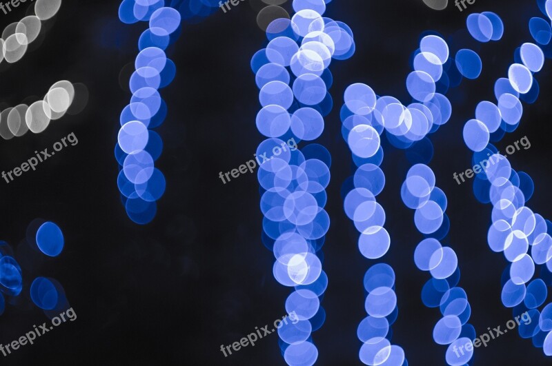 Lights Lantern Christmas Tree Christmas New Year's Eve