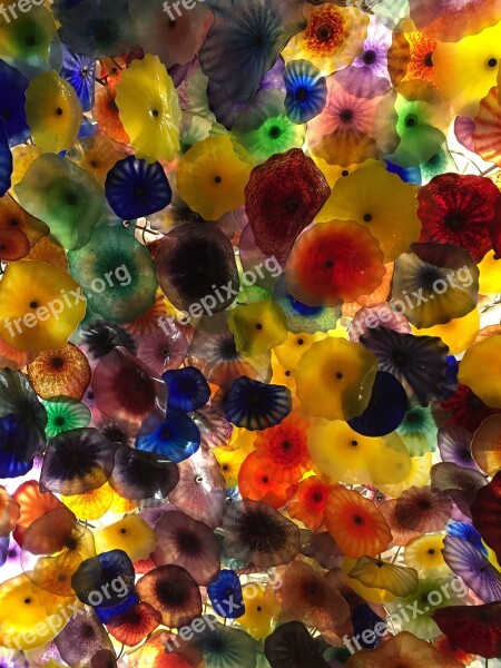 Chihuly Pattern Color Glass Art