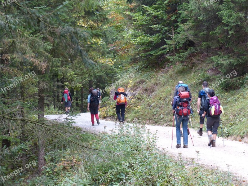 Wanderer Forest Nature Away Forest Path