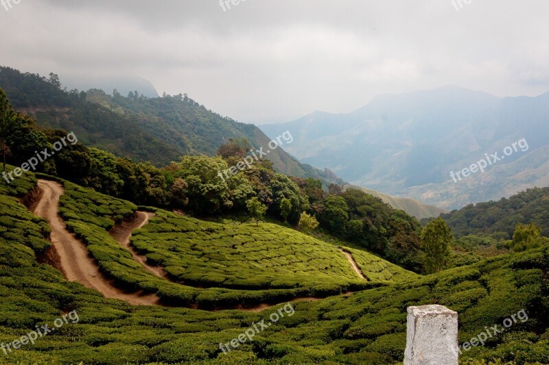 Tee India Munnar Mountains Highlands