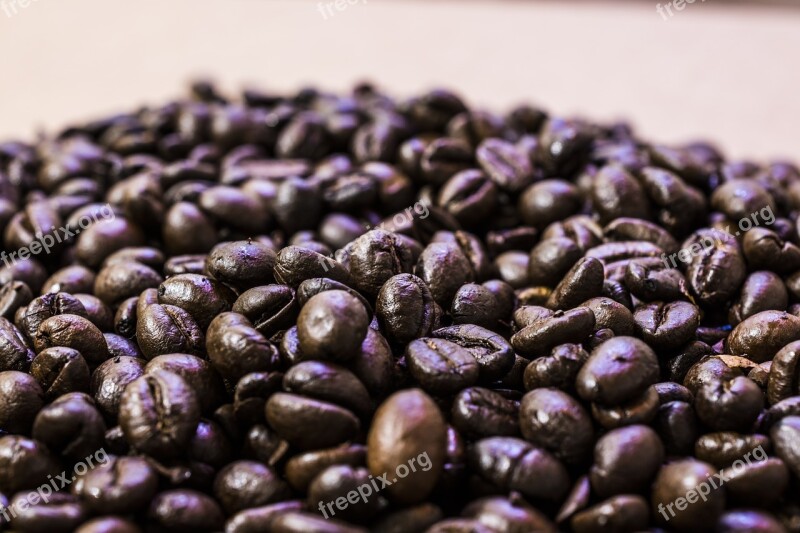 Coffee Beans Coffee Beans Espresso Coffee Cup