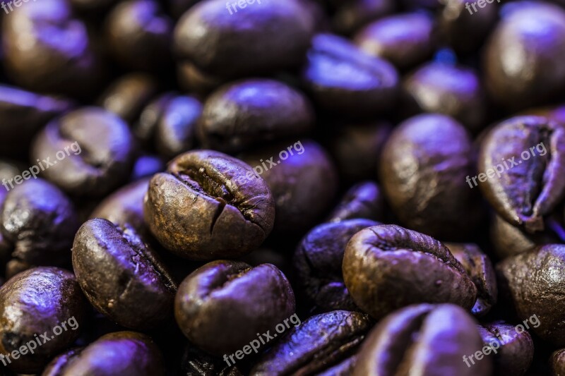 Coffee Beans Coffee Beans Espresso Coffee Cup