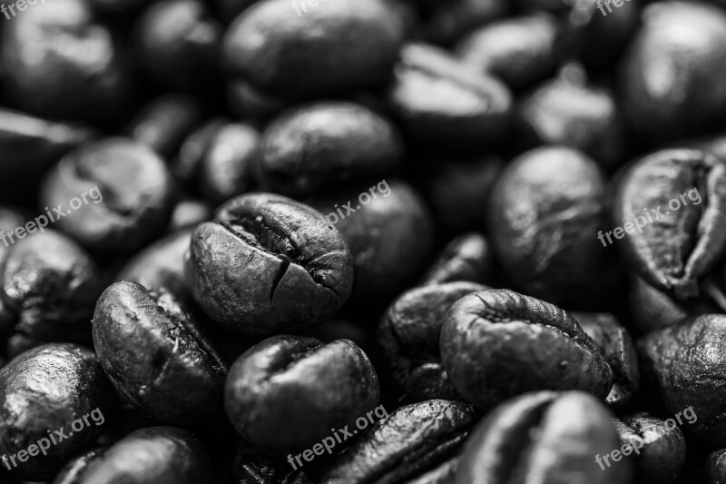 Coffee Beans Coffee Beans Espresso Coffee Cup