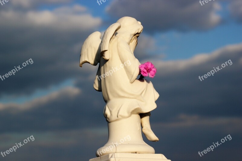 Little Angel Crying Pink Carnation Dramatic Sky Free Photos