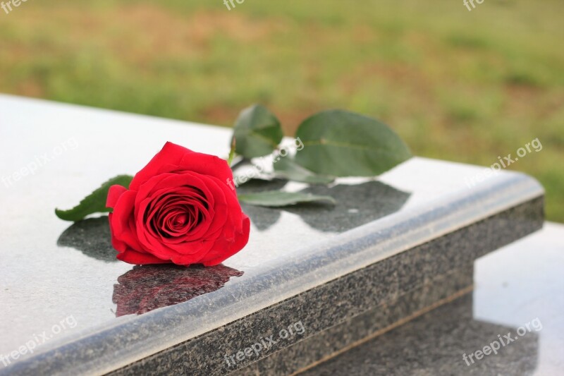 Red Rose Grey Marble Gravestone Grave Symbol