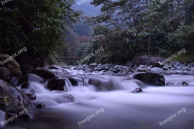 River Cali Colombia Jamundí Vegetable Kingdom