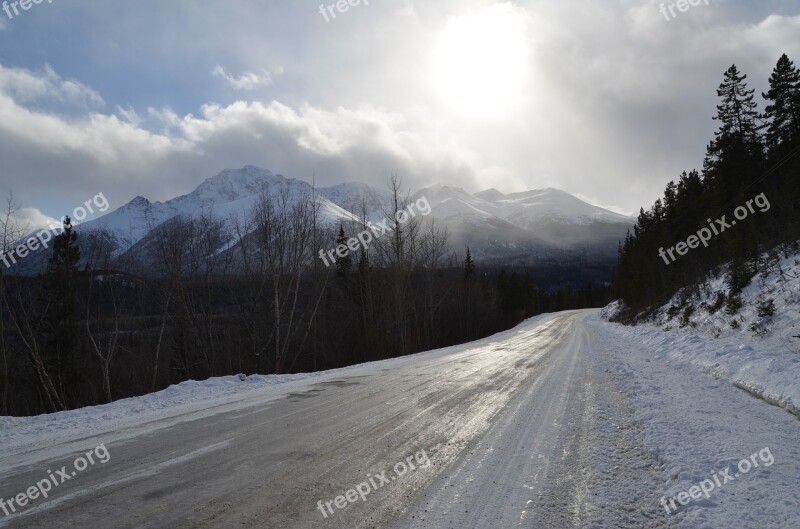 Icy Road Mountain Sun Pine Trees Road