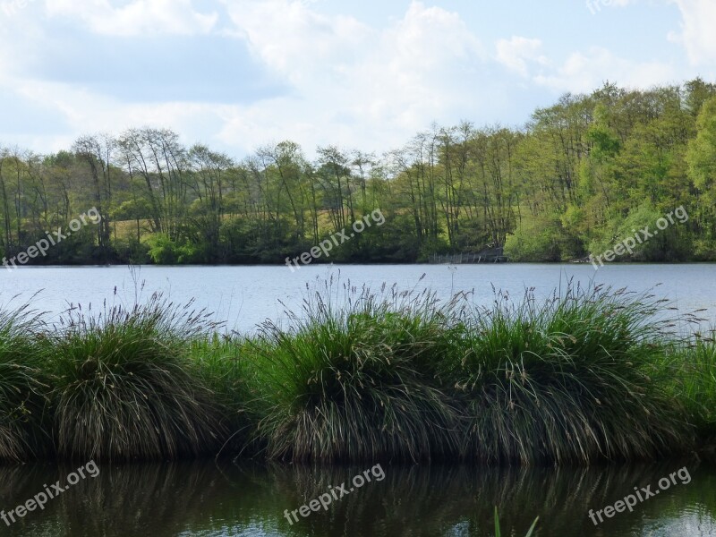 Pond The Bars Saint-sauveur-en-puisaye Yonne Free Photos