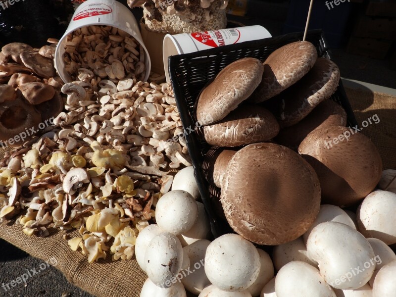 Farmers Market Fresh Ripe Mushrooms Grocery