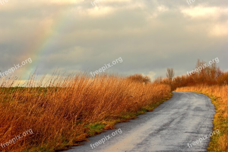 Rainbow Away Forest Nature Autumn