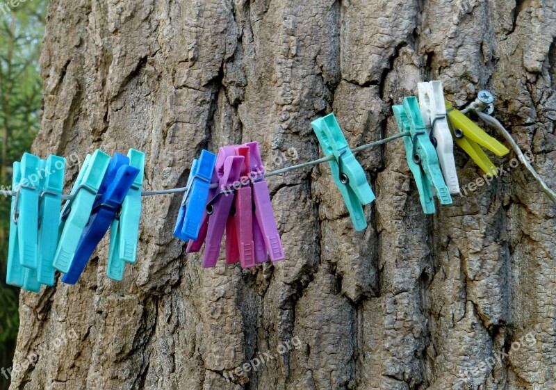 Clothes Line Washing Brackets Tree Bark Garden