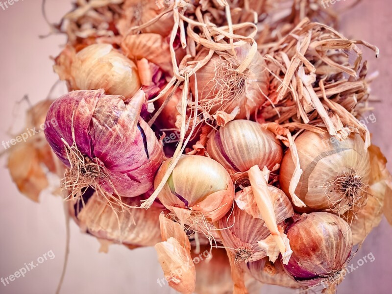 Onions Shallots Cream Onion Kitchen Onion Gartenzwiebel