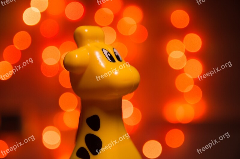 Bokeh Snowman Giraffe Girafa Paraguay