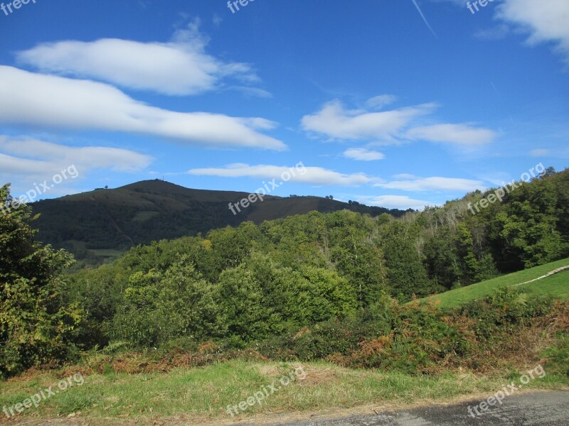 Trees Pyrenees Mountain Free Photos