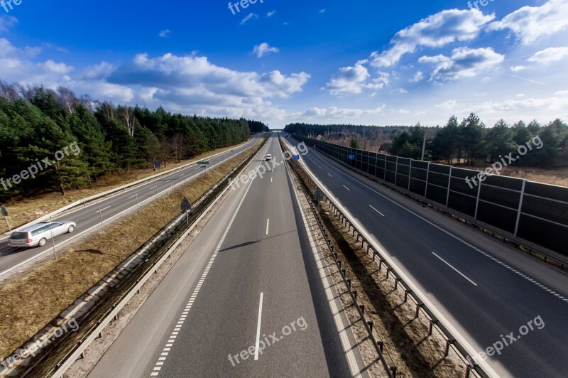 Way Horse Asphalt Travel Road