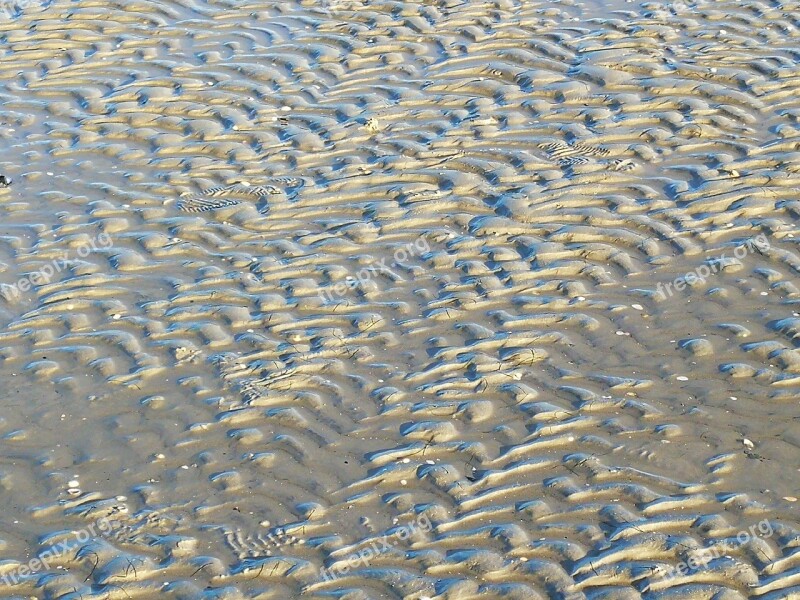 East Frisia Schillig Wadden Sea Ebb Sand