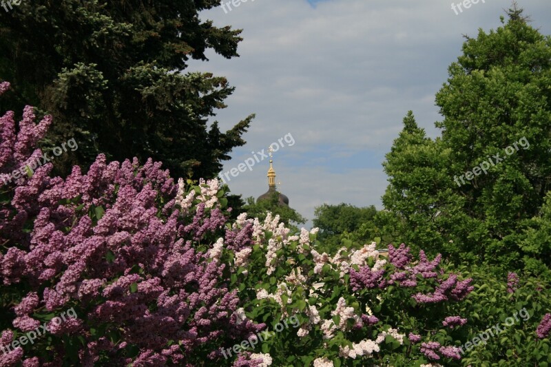 Lilac Landscape Sky Botanical Garden Vista