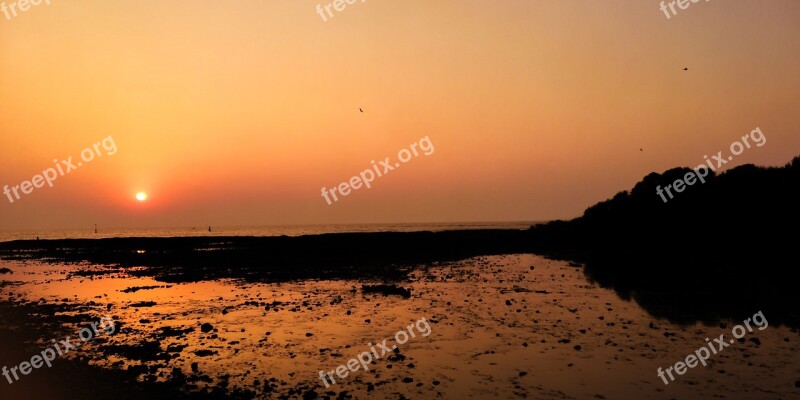 Nature Sunset Beach Background Outdoor Free Photos