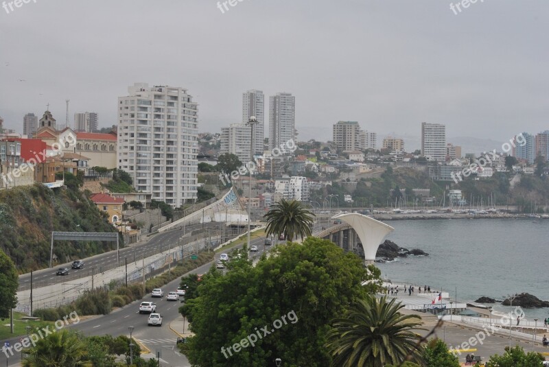 Vineyard Sea Valparaiso Free Photos