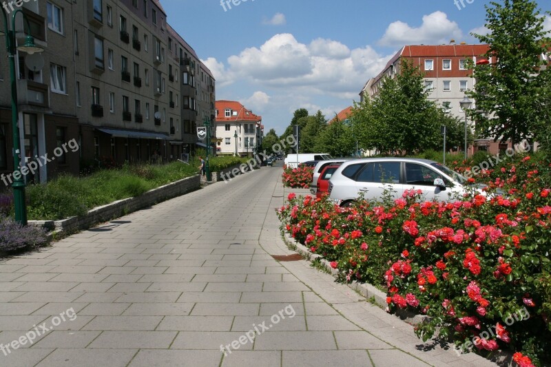 Pasewalk Uecker Road New Market Flowers Free Photos