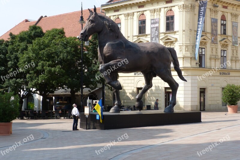 Statue Pecs Art Horse Square