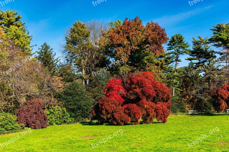 Autumn Vivid Colors Trees Nature Landscape