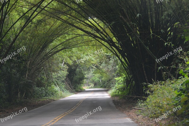 Road Nature Transport Travel Landscape