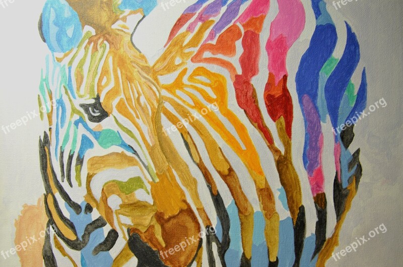 Zebra Paint Color Multicolored Horse