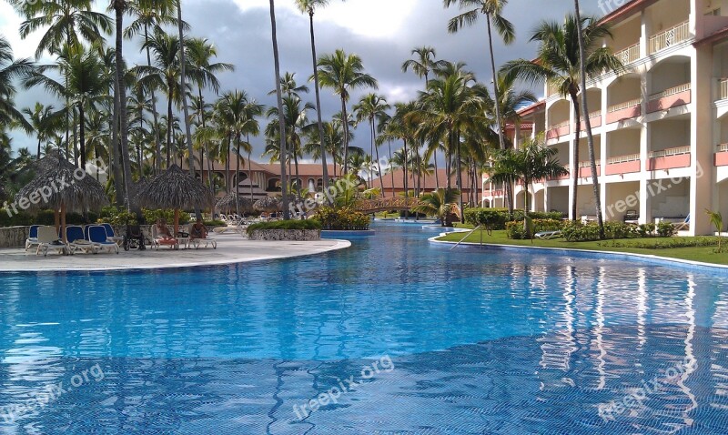 Hotel Vacation Pool Palm Trees Journey