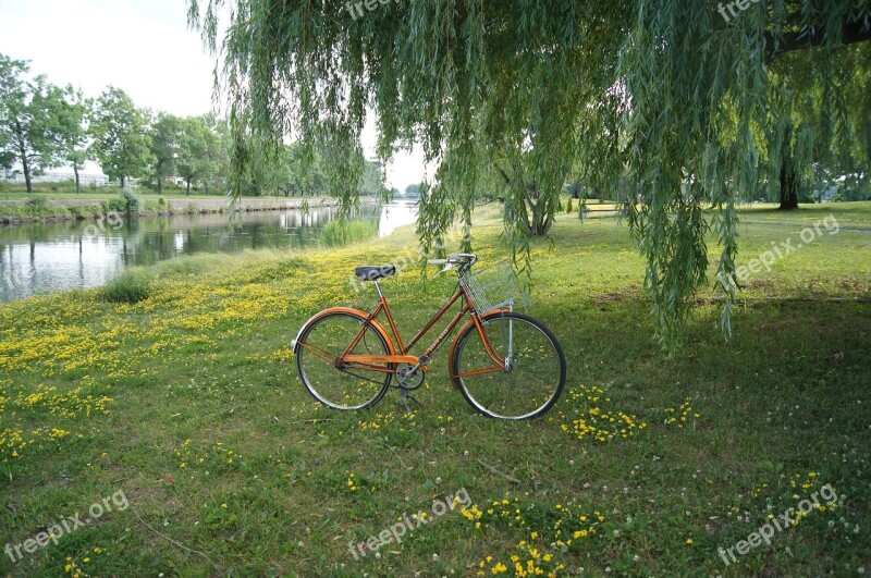 Vintage Bicycle Bike Summer Retro