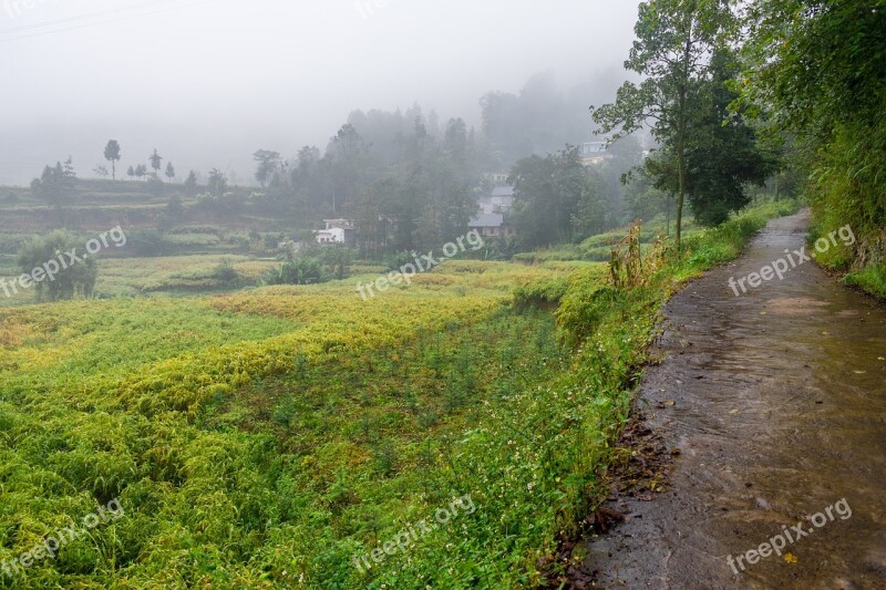 Fog Drizzle Lane Country Autumn Rain