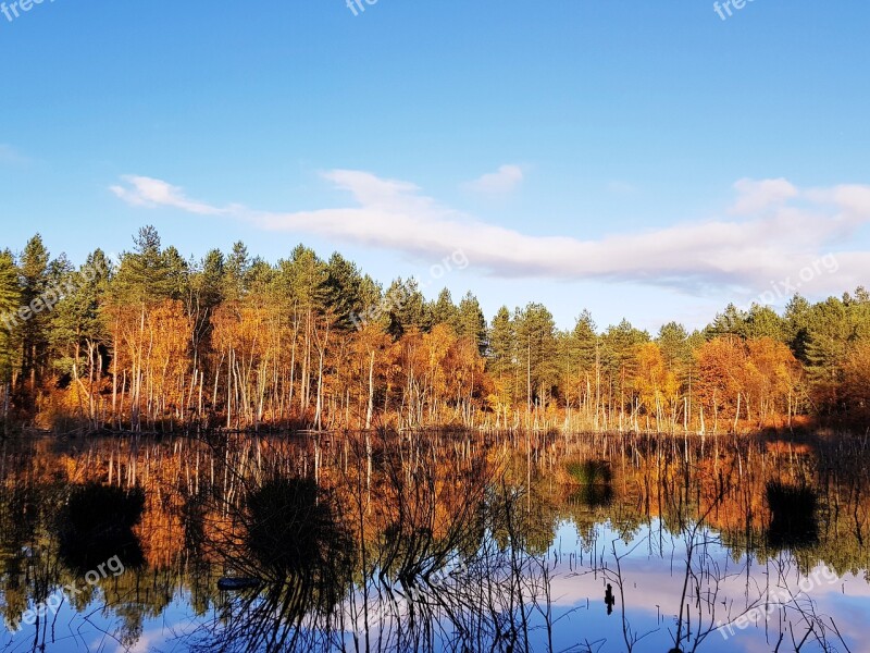 England Autumn Lake Mere Pine Forest