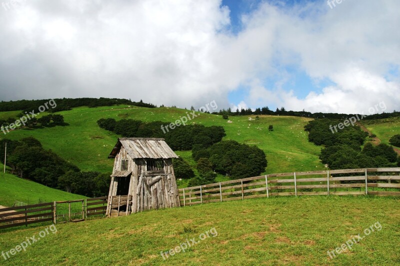 Daegwallyeong Sky Nature Cattle Ranch Free Photos