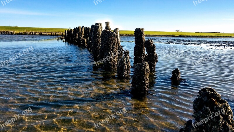 North Sea Watts Wadden Sea Landscape Water