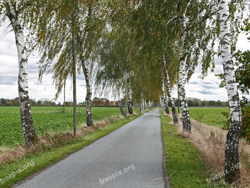 Birch Avenue Frühherbst Dirt Track Agriculture Bauerschaft