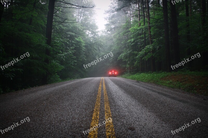 Rain Nature Forest Leaves Landscape