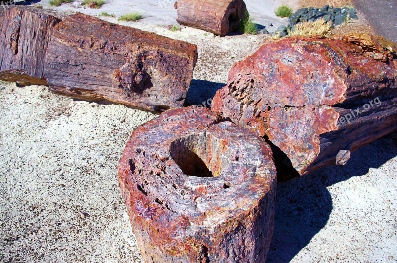 Petrified Logs Petrified Forest National Park